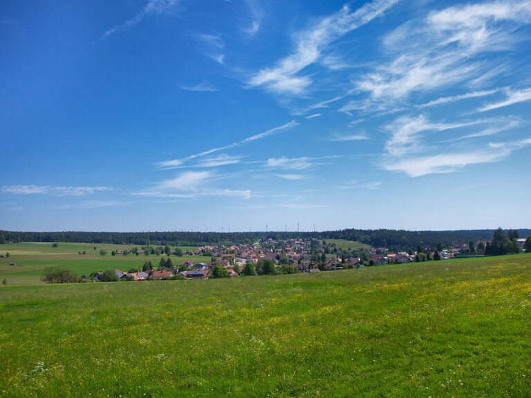 Blick über Besenfeld