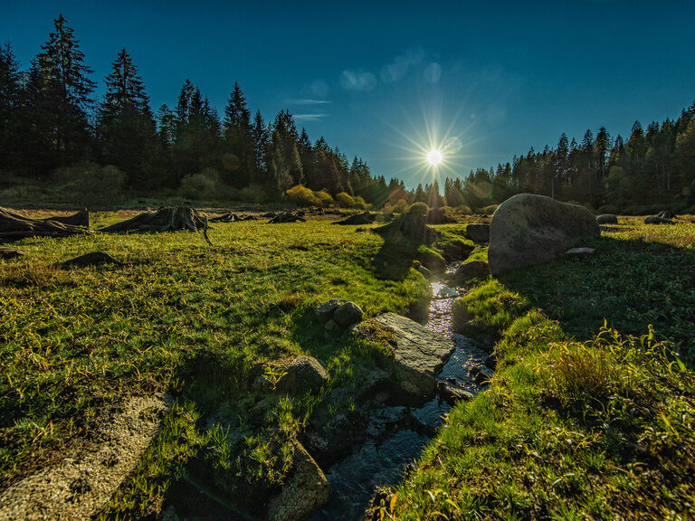 Beransicht Nordschwarzwald