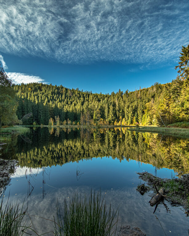 Wildsee Nordschwarzwald