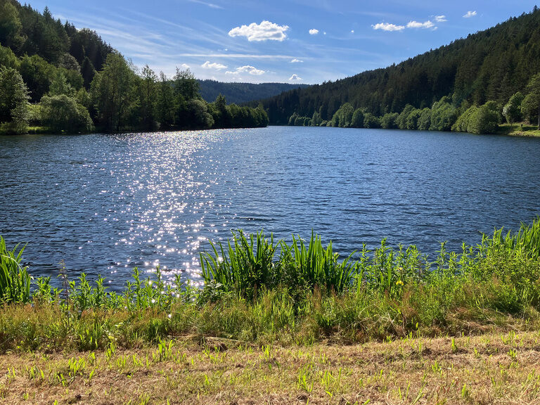 Nagoldtalsperre in Seewald Erzgrube