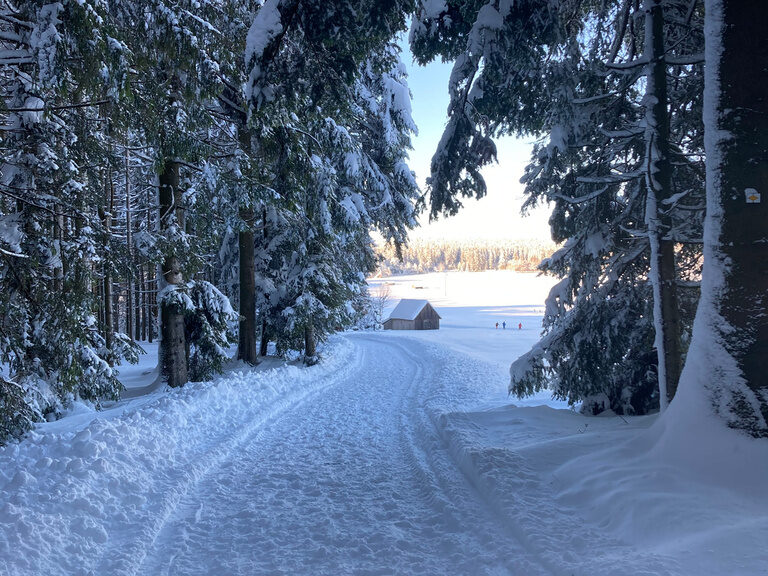Verschneiter Waldweg im Winter rund um das Hotel Konradshof im Nordschwarzwald.