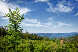 Blick ins Tal