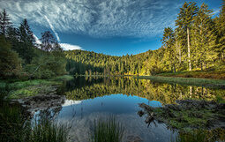 Wildsee Nordschwarzwald