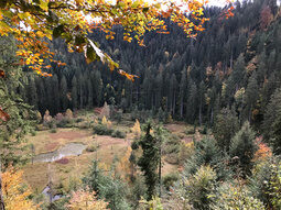 Sankenbachsee
