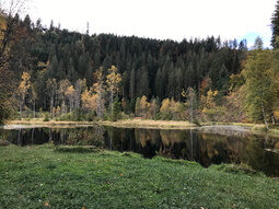 Sankenbachsee
