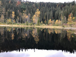 Sankenbachsee