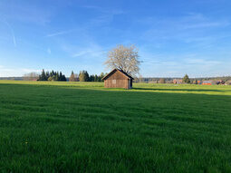 Scheune in Seewald Besenfeld