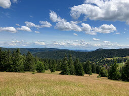 Feldberg