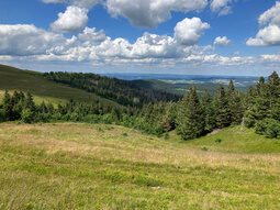 Feldberg