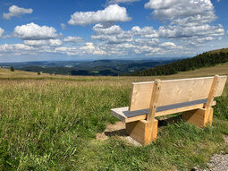 Aussichtsbank auf dem Feldberg
