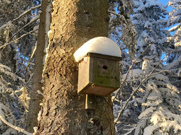 Vogelhäuschen im Winter