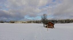 Holzschuppen in Besenfeld