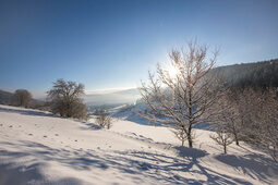 verschneite Winterlandschaft Schnee-Bäume-Landschaft