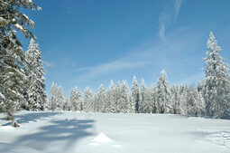 Verschneite Winterlandschaft im Nordschwarzwald